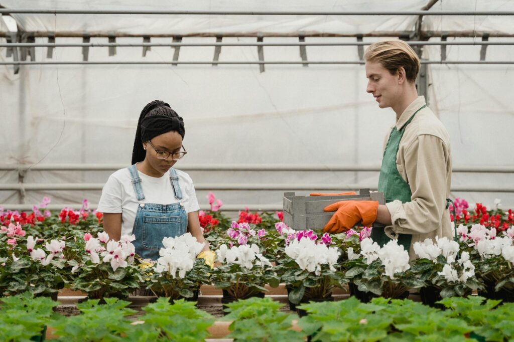 gardeners looking at flowering plants